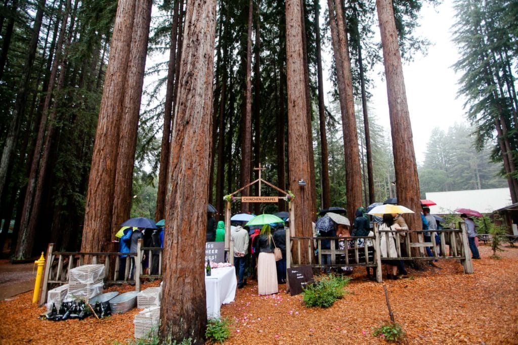 Wedding ceremony in a redwood circle at the YMCA Camp Campbell