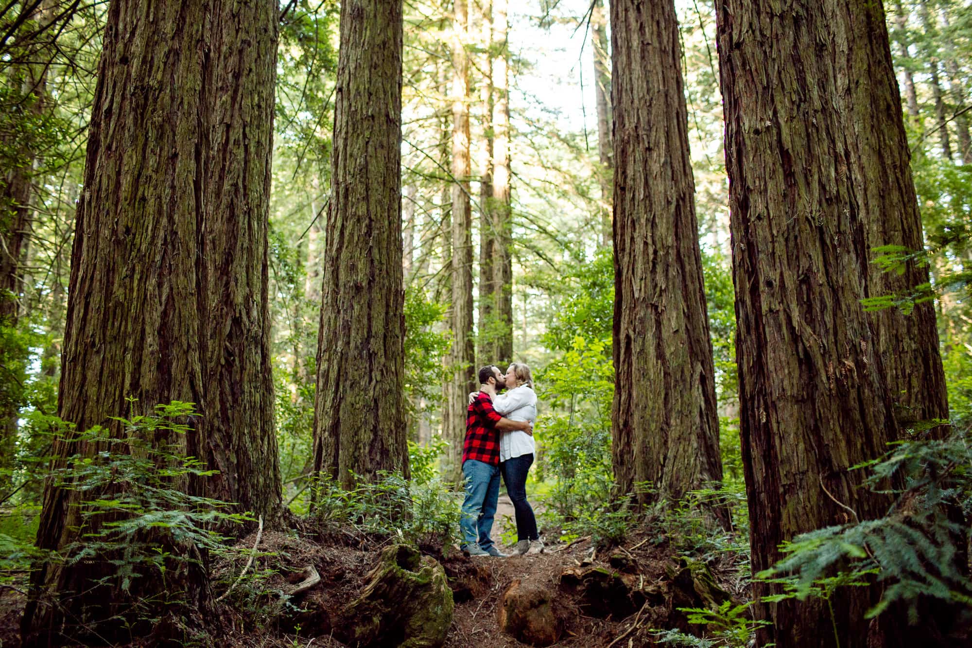 Man and woman embracing outdoors in between four redwood trees