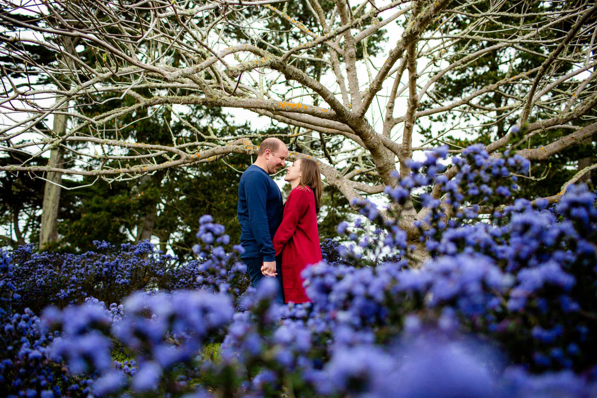 Man and woman standing close and looking at each other surrounded by purple flowers and a tree with no leaves on it