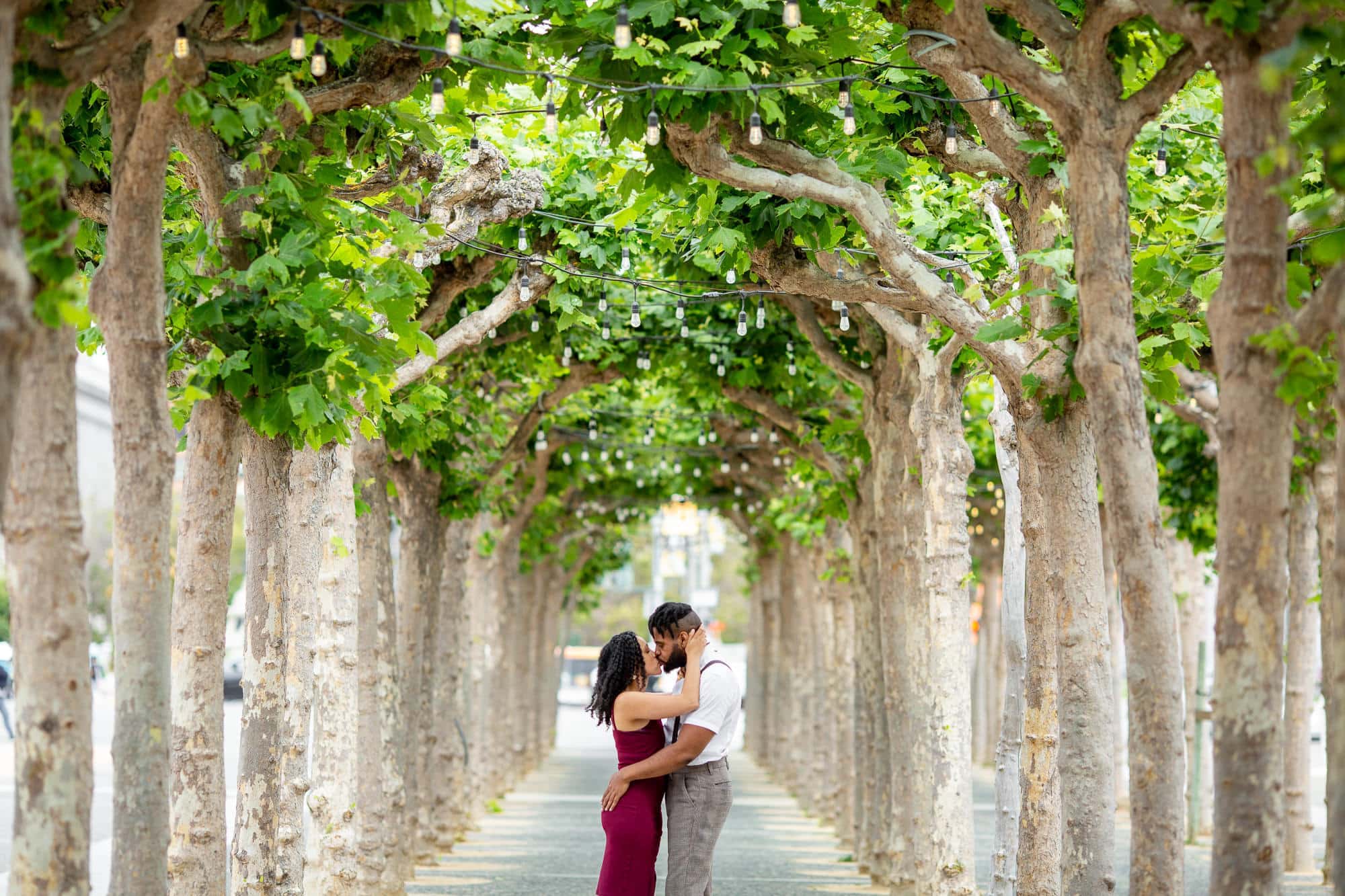 Man and woman hugging outside in between two rows of trees
