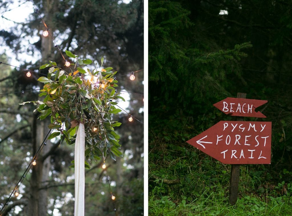Diptych of flowers and a sign at a wedding reception