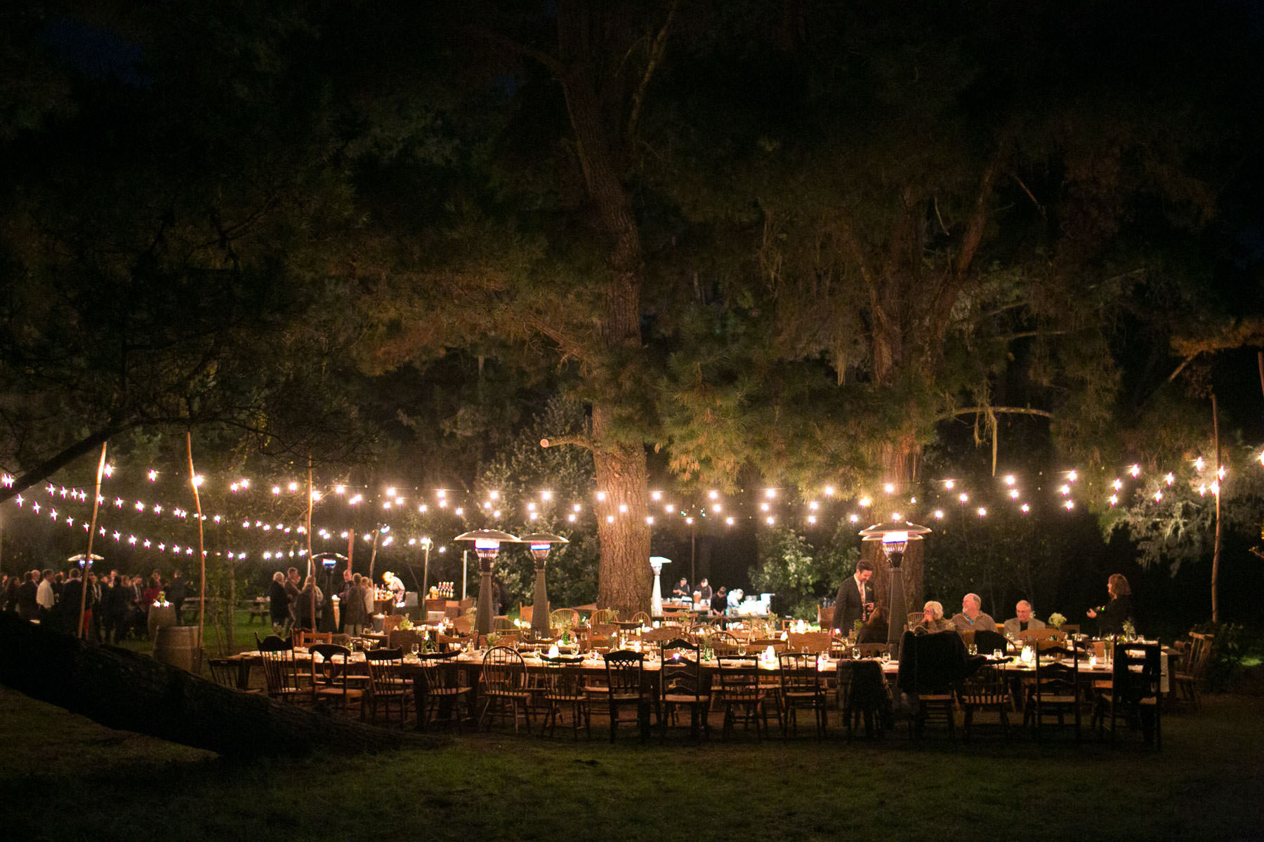 long tables and guests with market lights in the woods